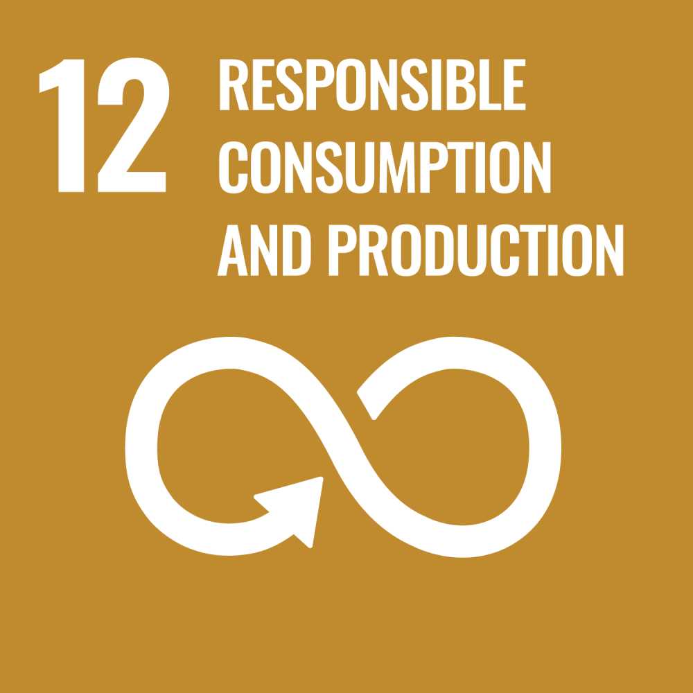 Sustainable Development Goal 12 Responsible Consumption and Production